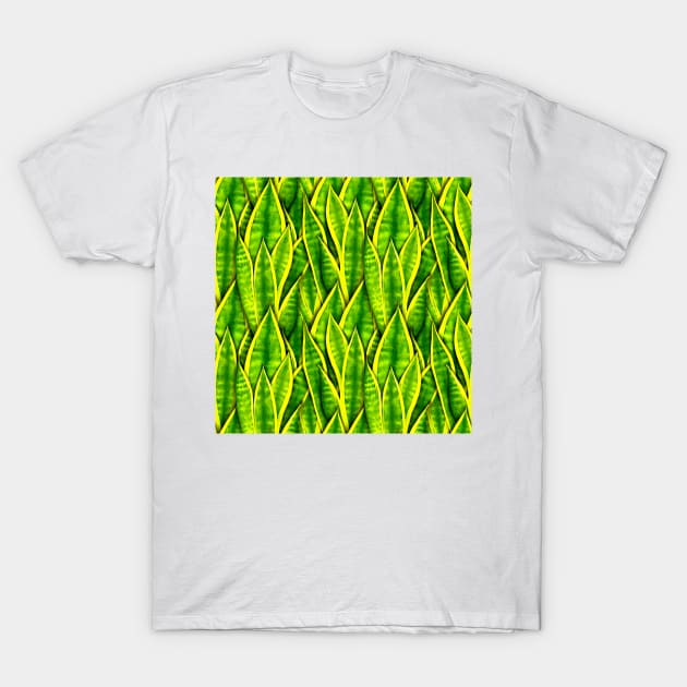 Sansevieria Trifasciata Laurentii Pattern T-Shirt by illucalliart